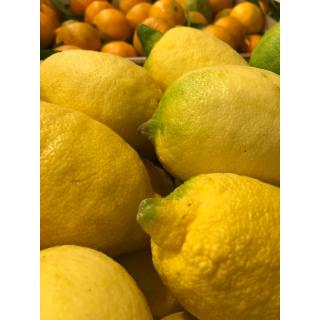 Bio-Zitronen lose