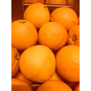 Bio-Orangen Kiste 7,5 kg