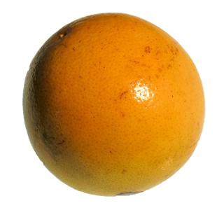 Bio-Grapefruit lose DEMETER