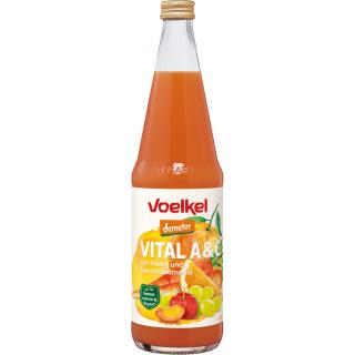 Voelkel Vital ACE, 0,7 ltr Flasche