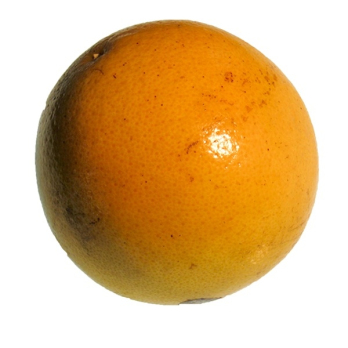 Bio-Grapefruit lose DEMETER