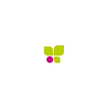 Bio Holundersaft 500 ml